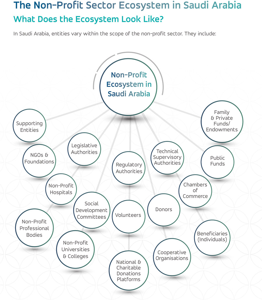 Strategic Gears sheds light on the non-profit sector in Saudi Arabia