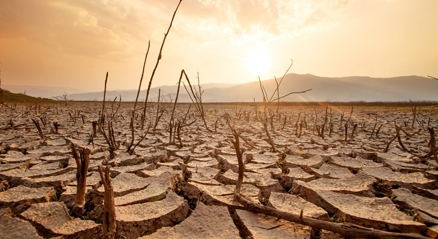 Addressing land degradation - one of the KSA's largest climate challenges