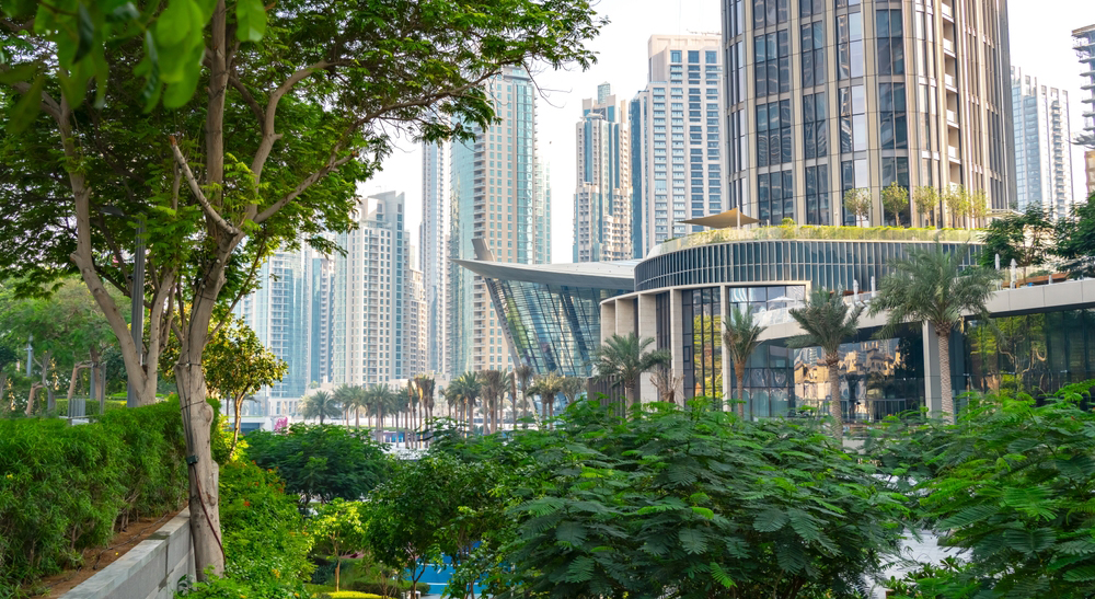 Urban park in Dubai