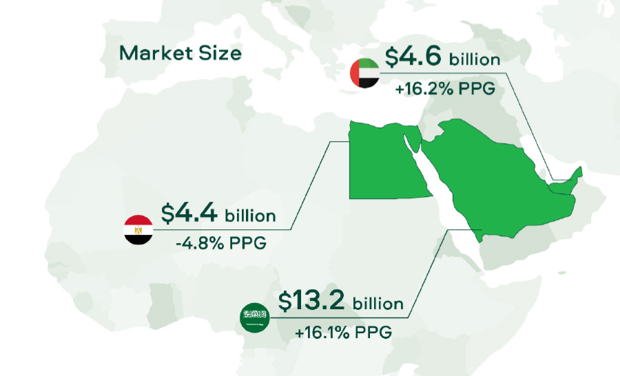 Investors eye opportunities in the Middle East’s growing pharma sector Investors eye opportunities in the Middle East’s growing pharma sector
