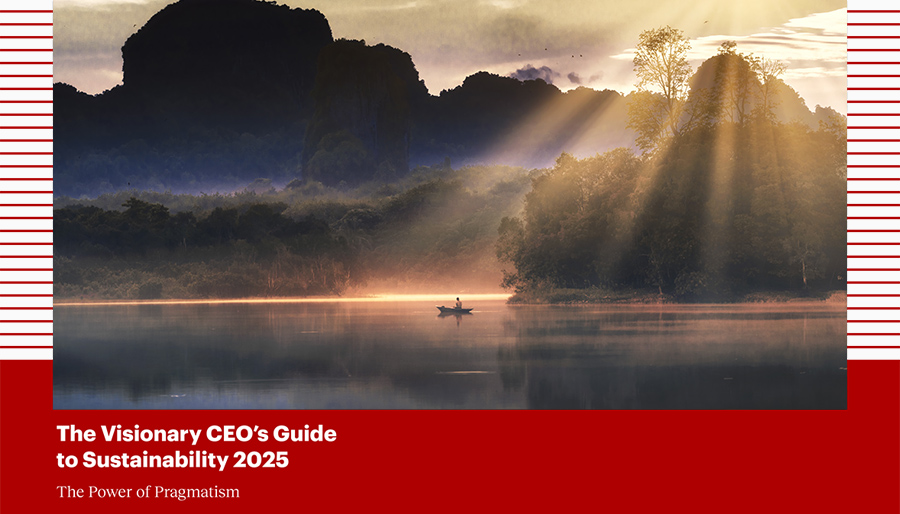 For CEOs, sustainability is now a business priority – not just a moral transition