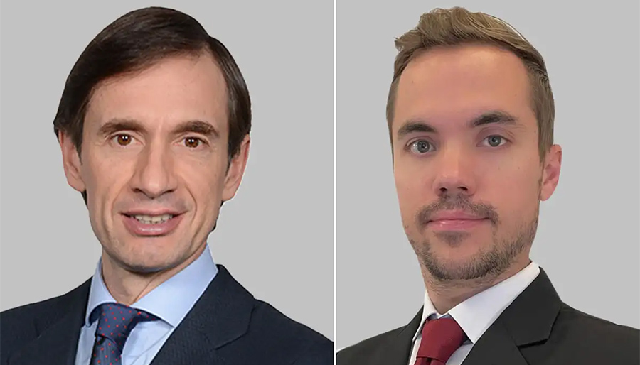 Building a national Large Language Model: Opportunities and challenges