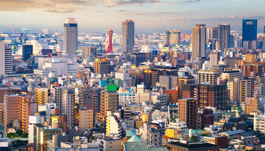 NEOS Advisory: Decarbonization pathways for power, transport, industry and buildings