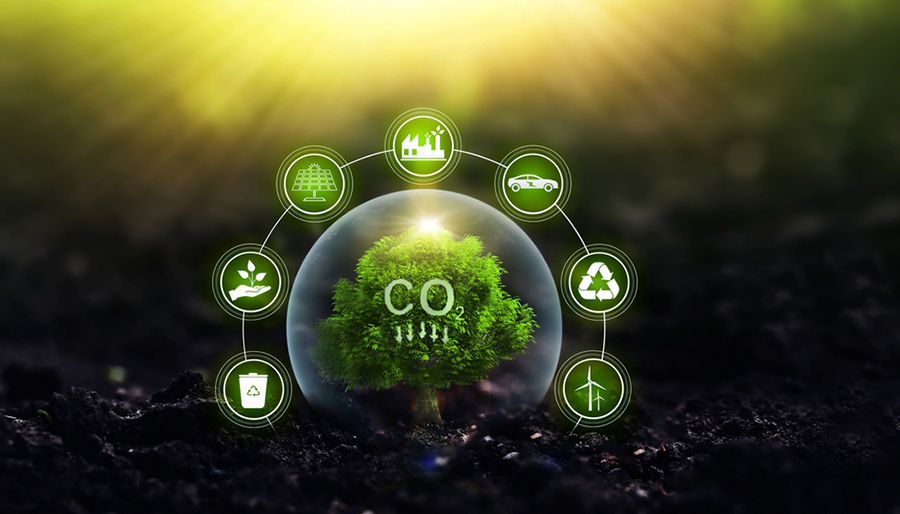 NEOS Advisory: Decarbonization pathways for power, transport, industry and buildings