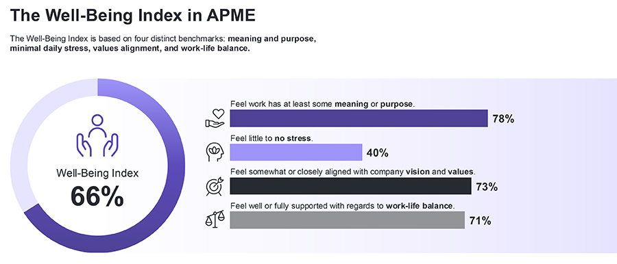 Well-Being Index in APME