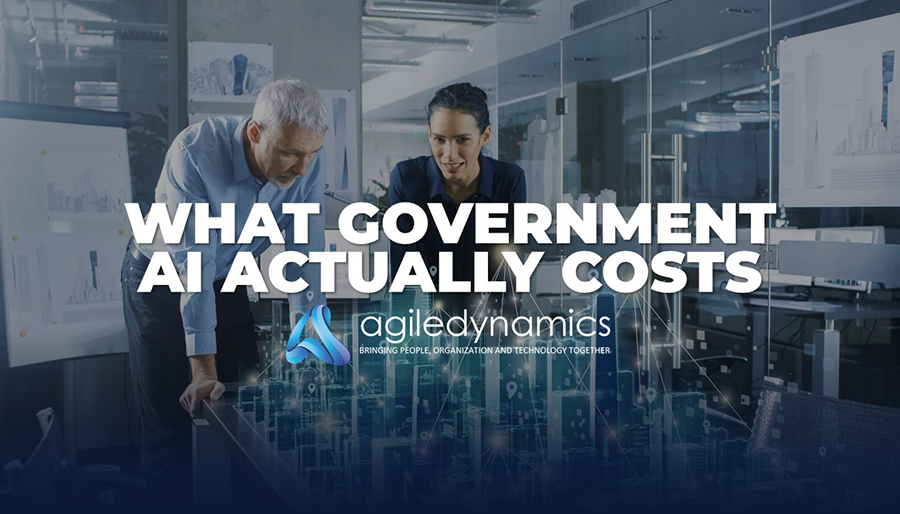 Rethinking the cost and budget structure of government AI