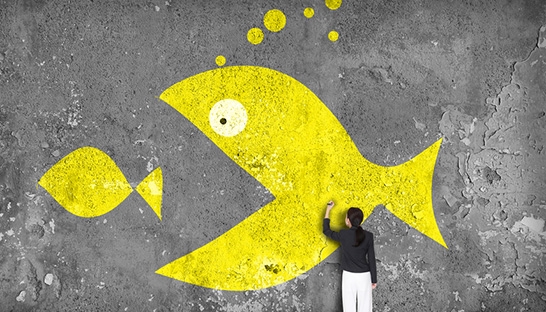 KPMG study paints a bullish outlook for M&A in US