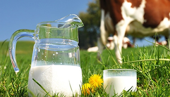 OC&C: Supermarkets to use low milk prices for edge