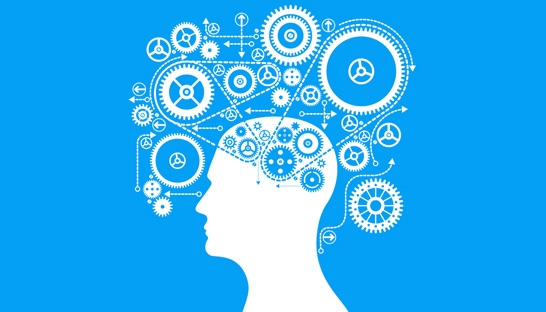 Solid decision making builds on speed, information and co-creation