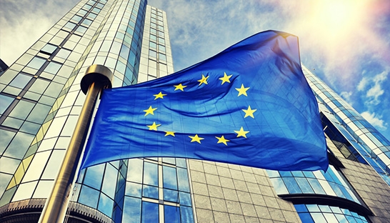 Eurozone businesses optimistic about future of region