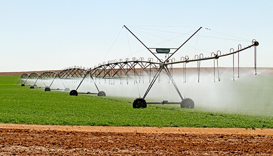 Optimism is high within the agricultural sector in South Africa