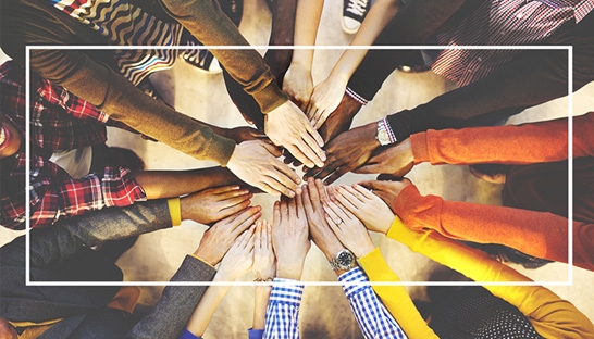 Diversity can boost financial performance of business by more than 30%