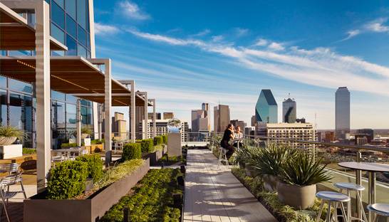 BCG renews building lease in Dallas