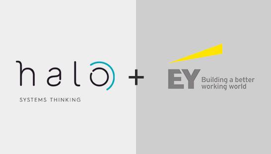 EY acquires public sector specialist Halo Management Consulting