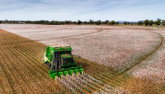 US owner engages PwC to run sale of agribusiness Auscott