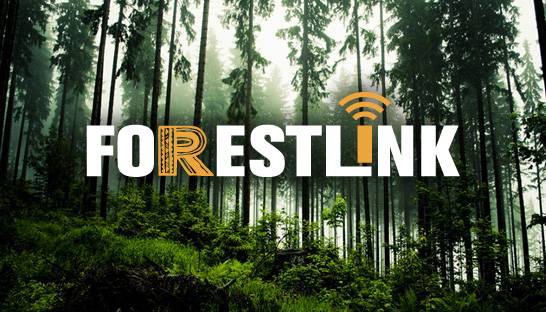 Curzon Consulting gives technical support to Rainforest Foundation UK