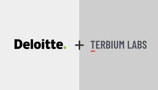 Deloitte buys antifraud technology company Terbium Labs 