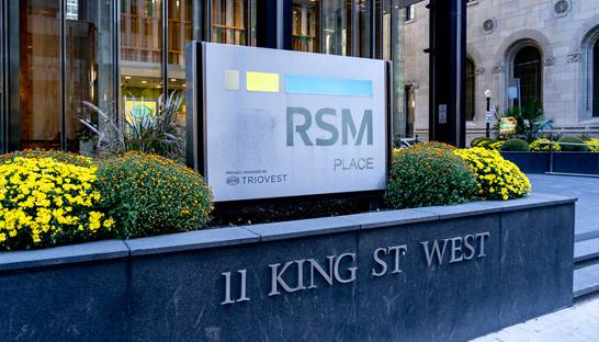 RSM Canada promotes six to partner