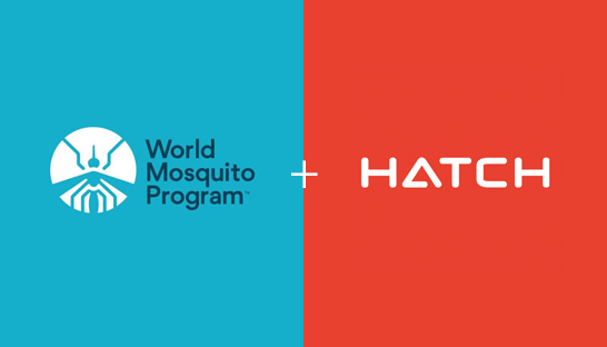 World Mosquito Program partners with Hatch to tackle diseases