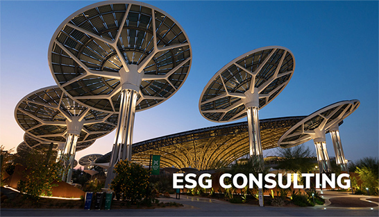 Why MENA governments are adopting ESG consulting to drive sustainable growth