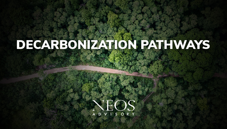 NEOS Advisory: Decarbonization pathways for power, transport, industry and buildings