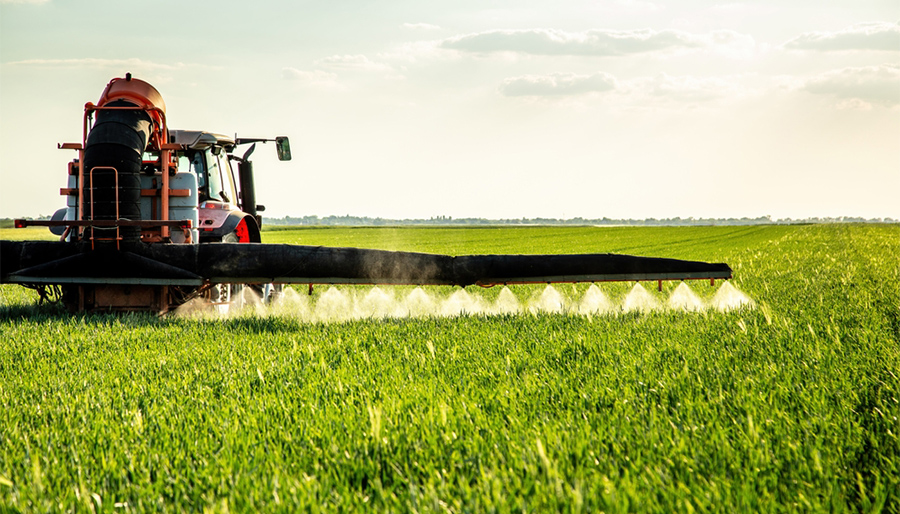 Management Partners supports IFC with fertilizer market study for Iraq and Kazakhstan