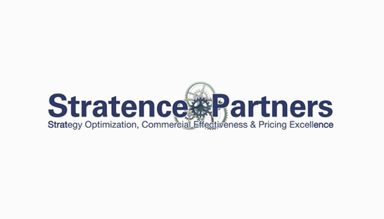 Consulting firm in the Middle East: Stratence Partners
