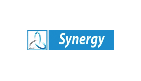 Consulting firm in the Middle East: Synergy